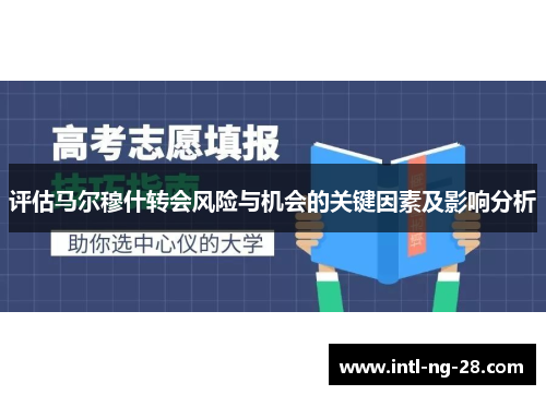 评估马尔穆什转会风险与机会的关键因素及影响分析