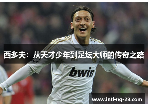 西多夫：从天才少年到足坛大师的传奇之路