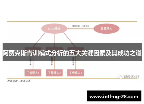 阿贾克斯青训模式分析的五大关键因素及其成功之道